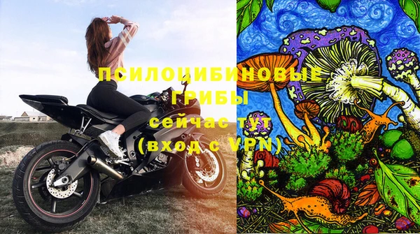 гидра Балахна