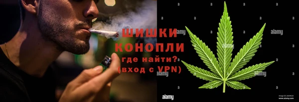 гидра Балахна