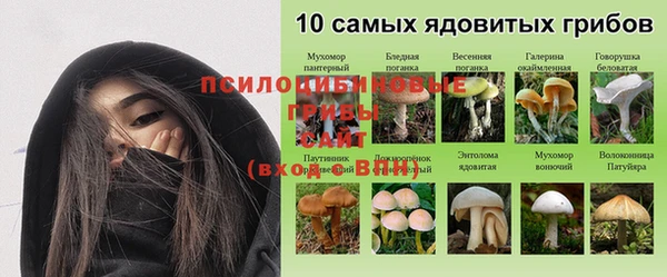 гидра Балахна
