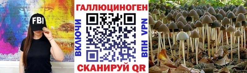 Псилоцибиновые грибы мицелий  Чулым 
