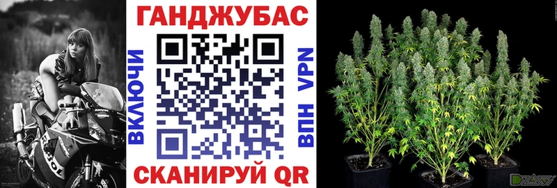 ОМГ ОМГ зеркало  закладка  Чулым  Бошки Шишки планчик 